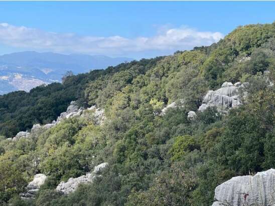 665bc276-0588-4909-b382-e9ede5299184