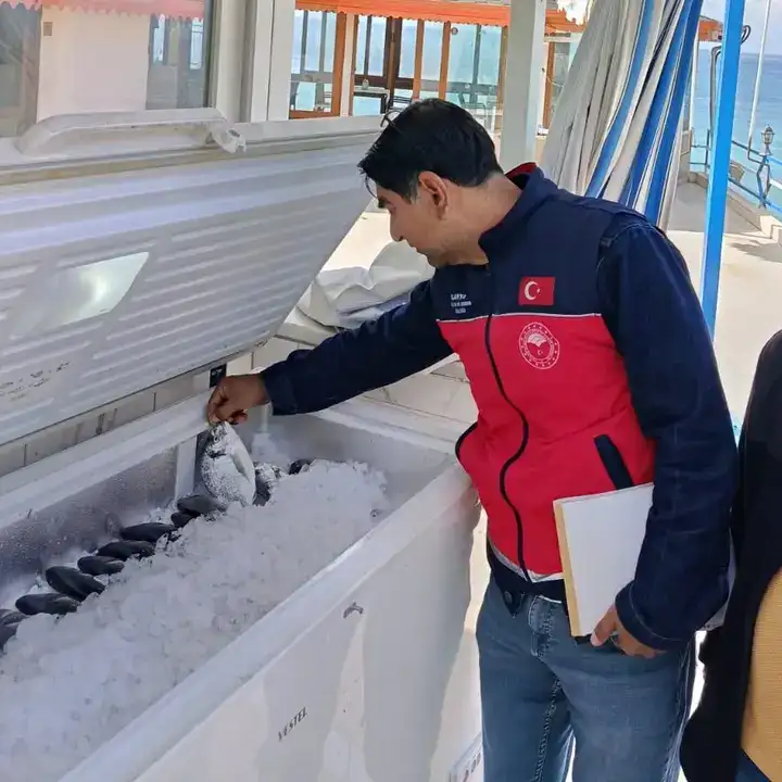 alanya-ve-gundogmusta-su-urunleri-mercek-altinda