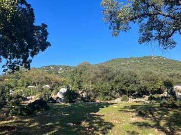 f12e404f-d597-4840-b767-10cd67b16299