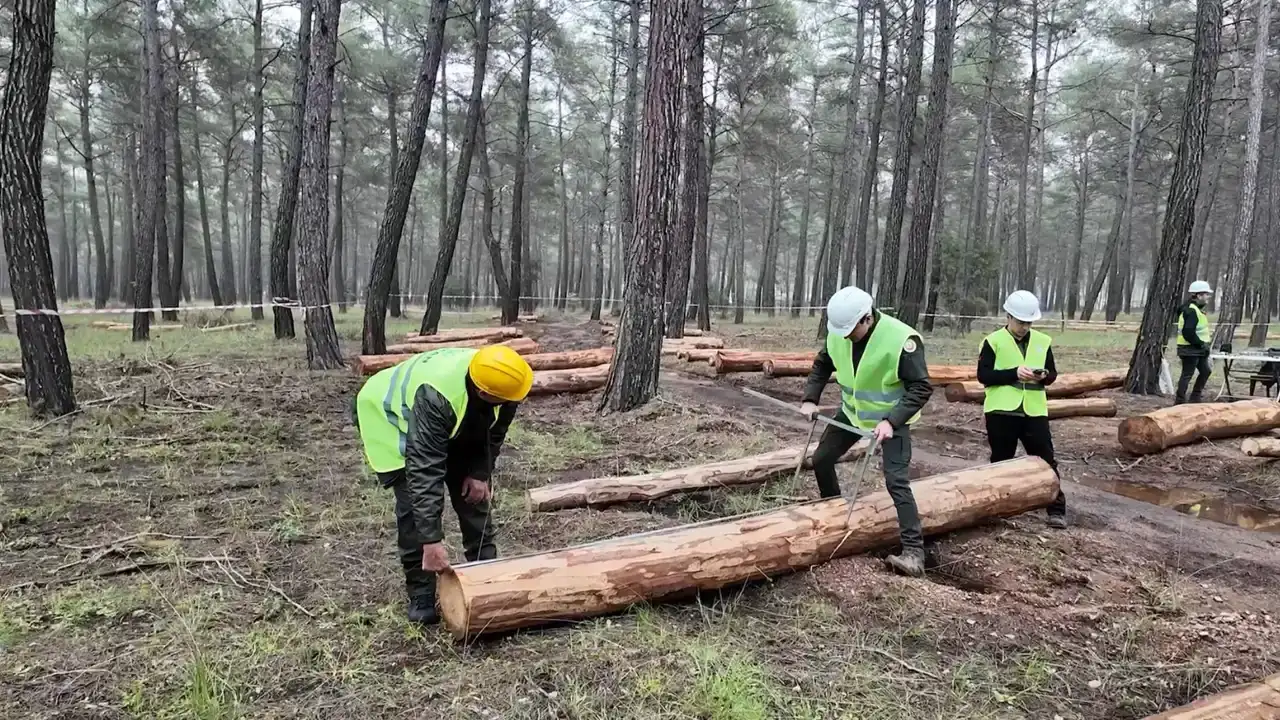 turkiye-ormancilik-yarismalari-ilk-kez-antalyada