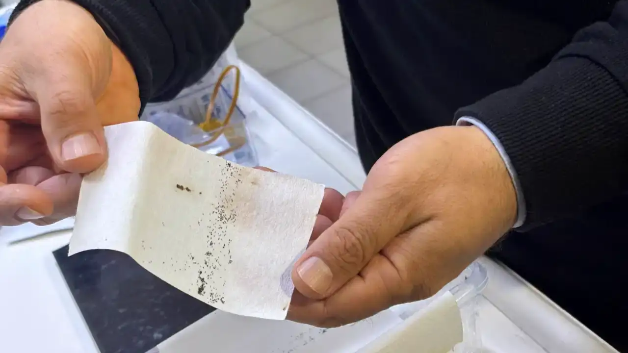 antalyada-yogun-yagislar-sivrisinek-tehdidini-artirdi