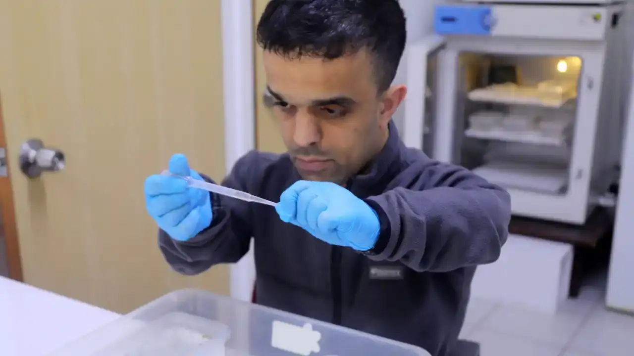 antalyada-yogun-yagislar-sivrisinek-tehdidini-artirdi