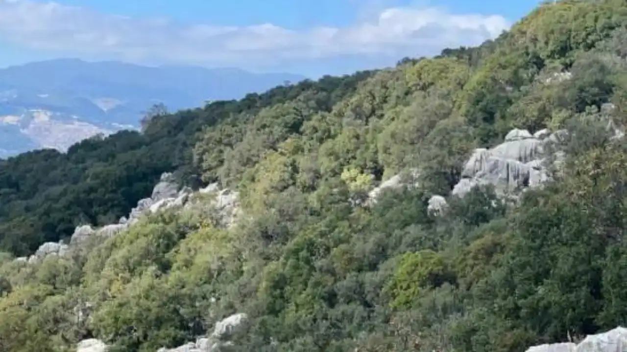 kastaki-mermer-ocagi-tbmm-gundeminde-cosardan-bakan-kuruma-kritik-sorular