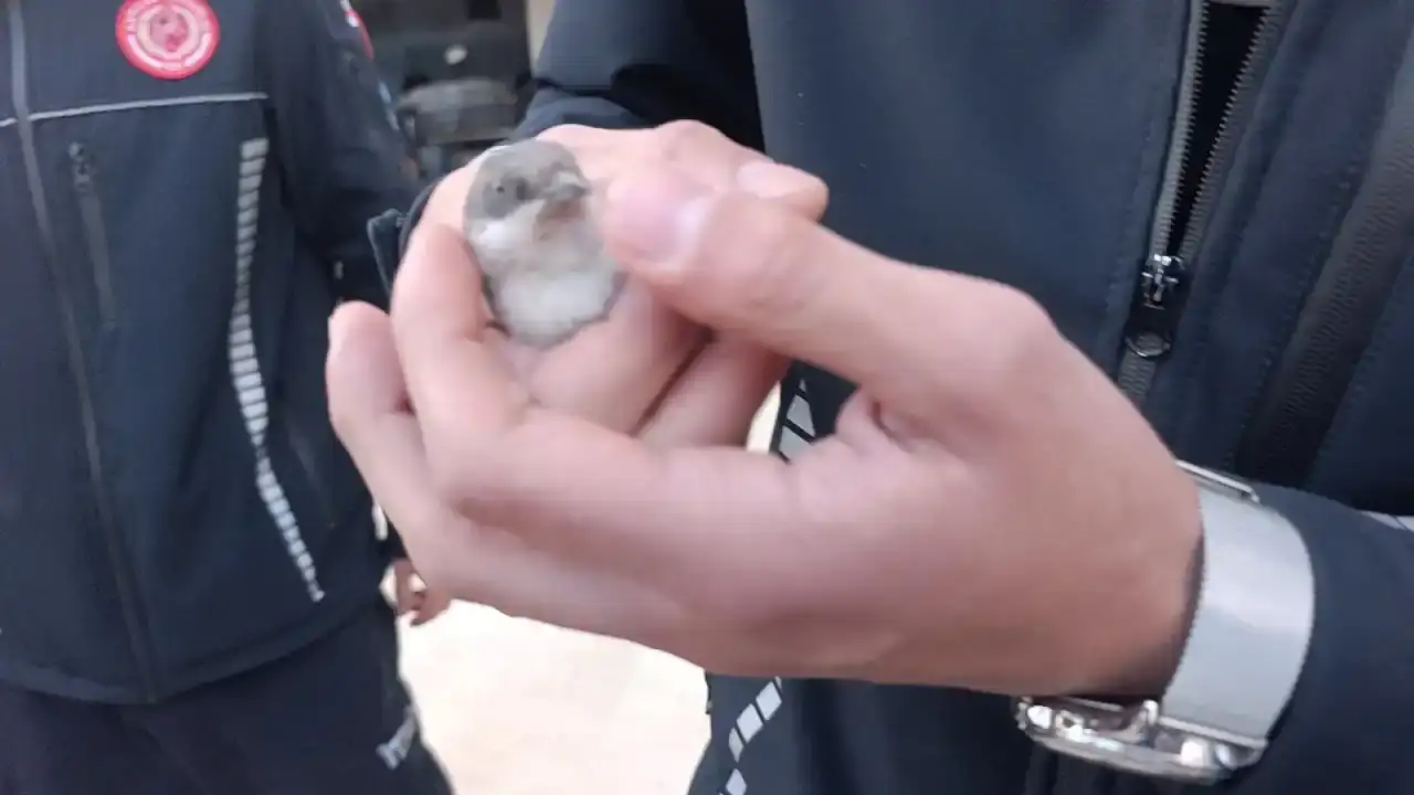 manavgatta-itfaiyenin-sefkat-eli-once-serce-sonra-kirpilere-uzandi