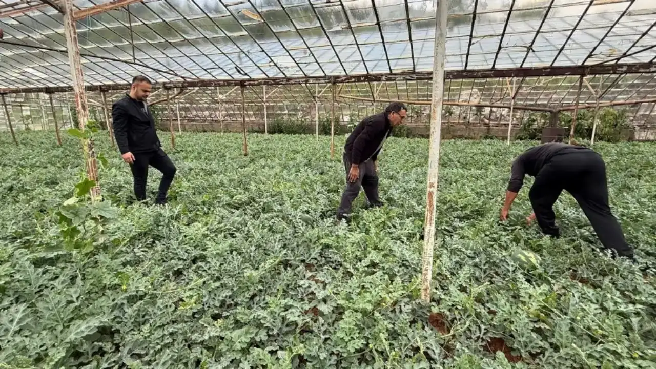 antalyada-yaz-erken-geldi-karpuzun-tezgaha-inecegi-tarih-belli-oldu