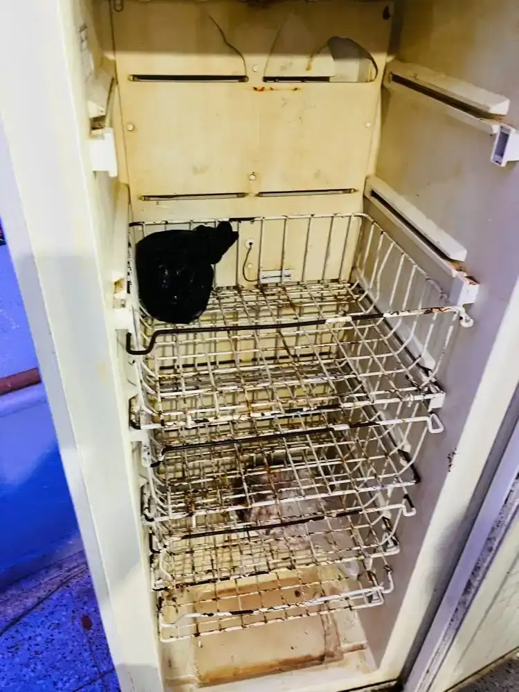 serikte-zabita-ekipleri-gorduklerine-inanamadi-halkin-sagligiyla-boyle-oynamislar