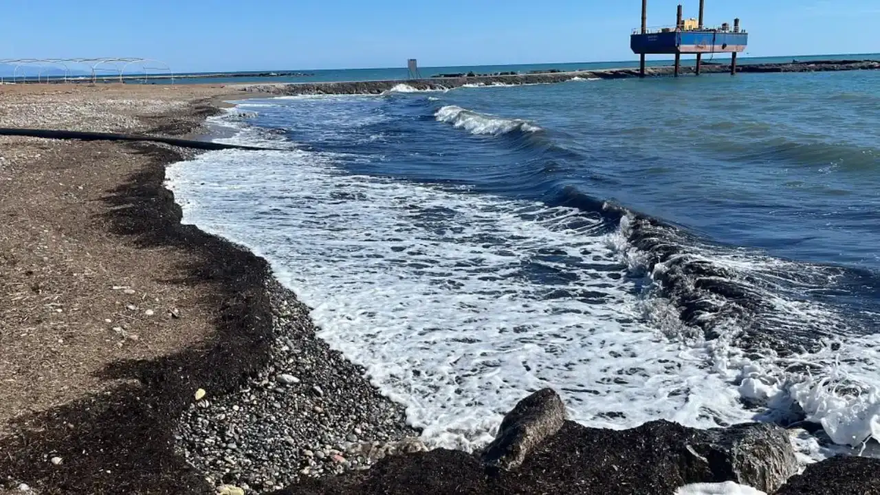 alanyada-sahil-siyaha-burundu-vatandaslar-panik-olurken-gercek-bambaska-cikti