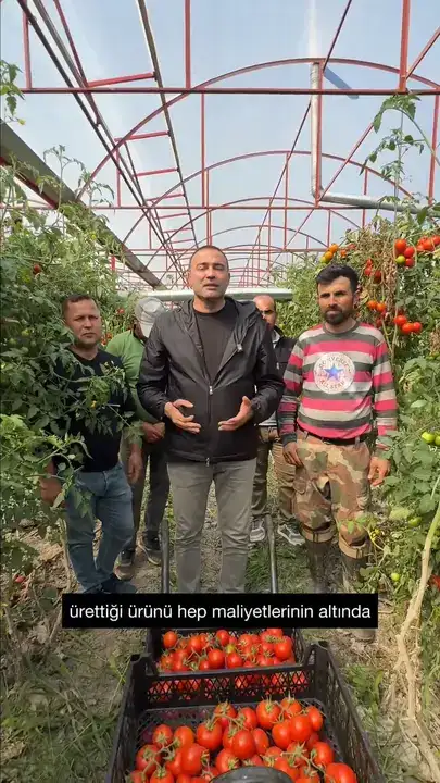 kasta-afetten-sonra-domates-hasadi-ciftcinin-1-aylik-kazanci-borca-gidiyor