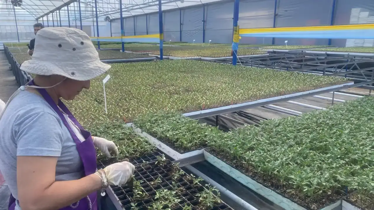 aksuda-370-bin-tonluk-rekoltede-kadin-imzasi