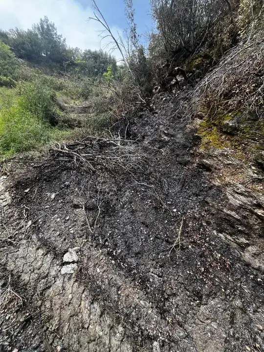 alanya-sihlarda-makilik-yangini