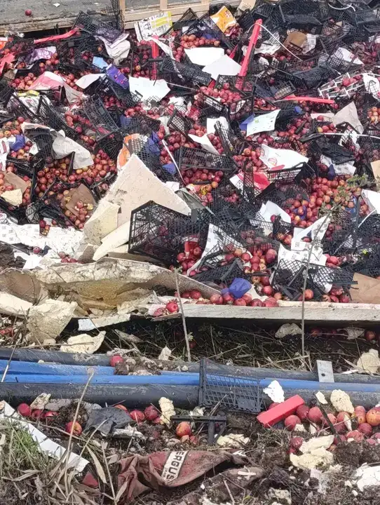 elma-yuklu-cekici-kovada-kanalina-devrildi