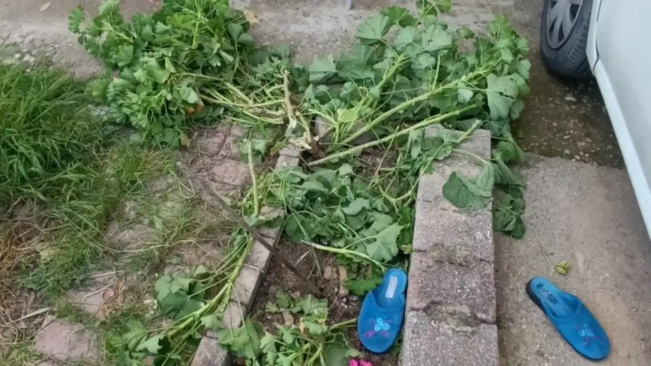 manavgatta-4-yasindaki-kucuk-kiz-olumden-dondu-evin-ikinci-katindan-topraga-dustu