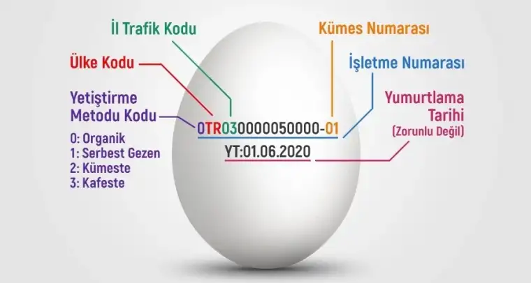 Yumurtaların Üzerindeki Numaralar Ne Anlama Geliyor?