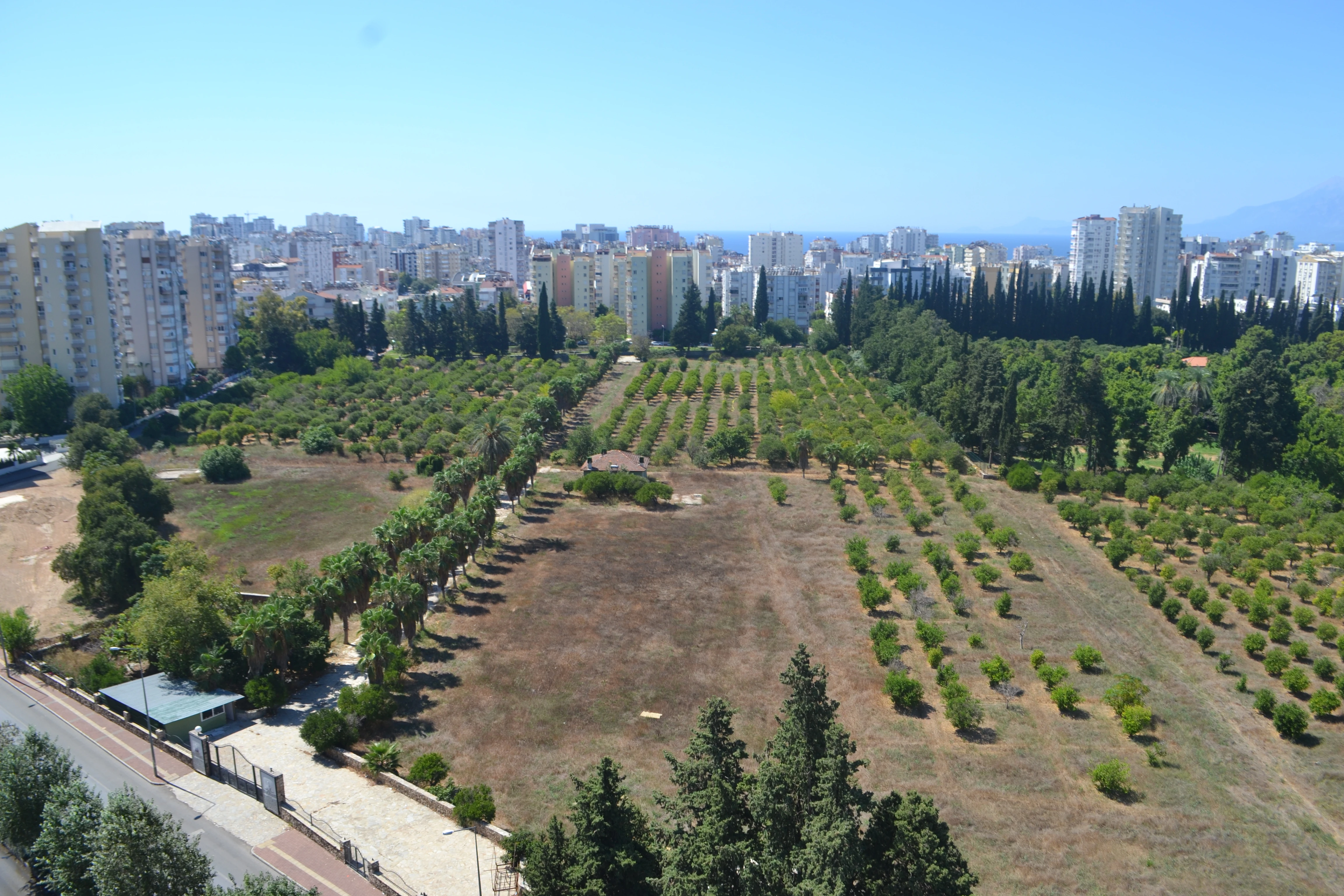 Antalya İKK'dan Narenciye Açıklaması! 