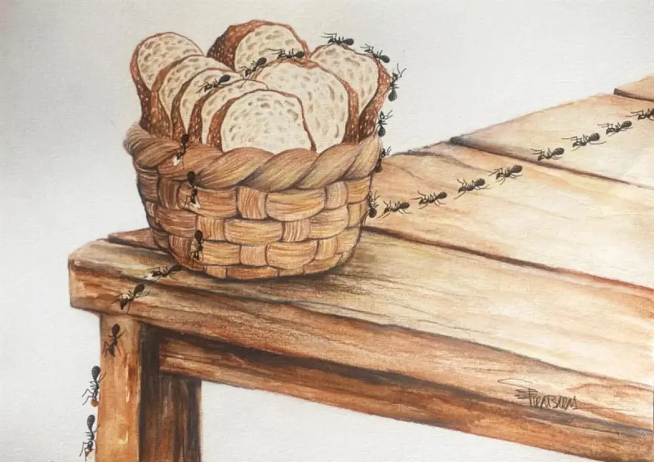 Alanya'da Karikatür Yarışması: Büyük Ödül Türkiye'nin 7