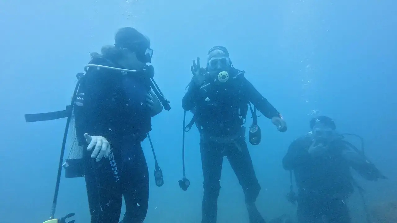 Antalya'da Anne Ahtapotun Fedakarlığı Görüntülendi 7