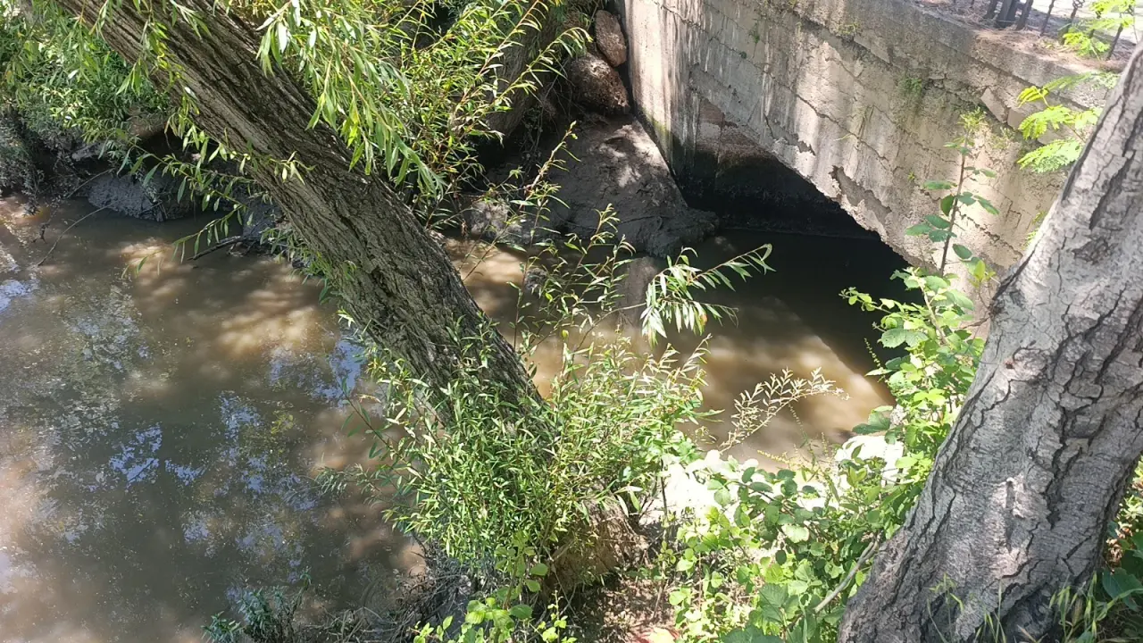 Manavgat Irmağı'nda Korkutan Manzara: Masmavi Su Çamura Bulandı! 3