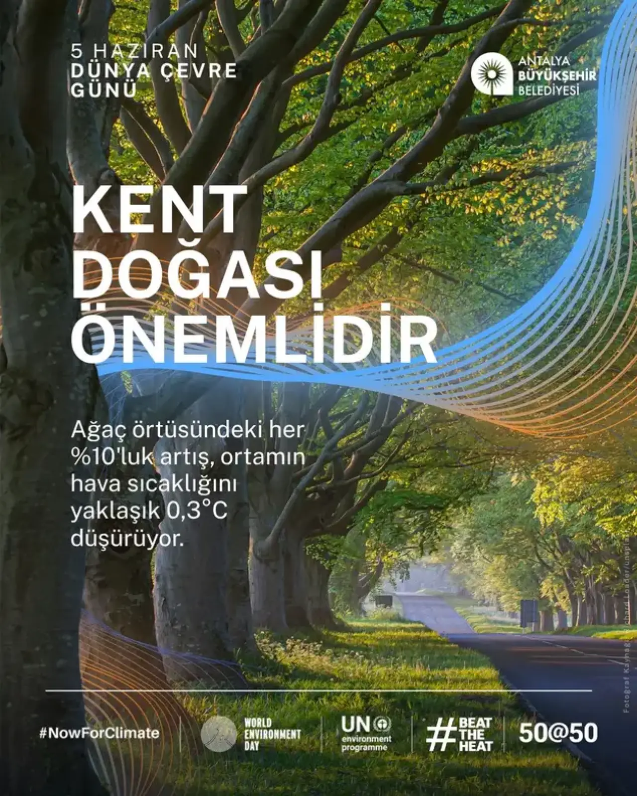 Antalya 50@50 Şehri Seçildi: "Artık Göz Ardı Edilemeyecek Kadar Sıcak" 5