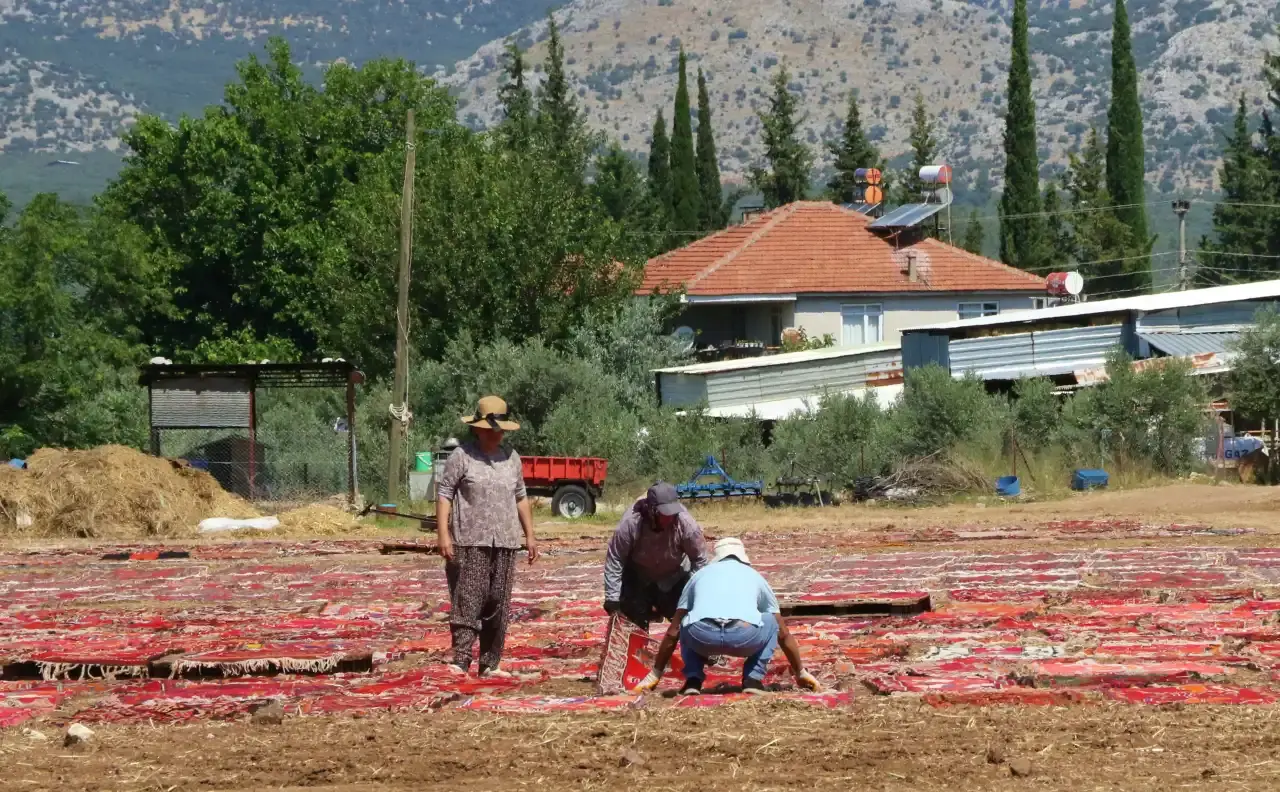 Döşemealtı’nda Renk Cümbüşü: Halı Tarlaları Turistlerin Akınına Uğradı 6