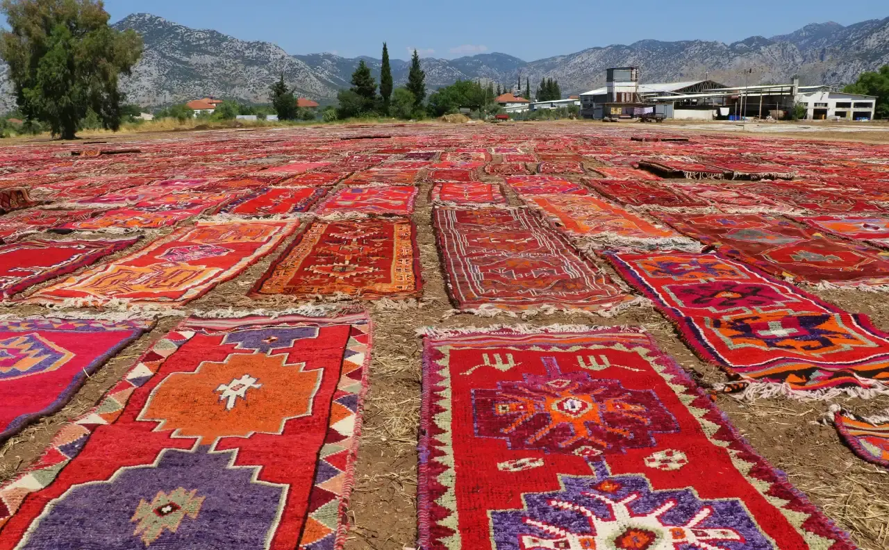 Döşemealtı’nda Renk Cümbüşü: Halı Tarlaları Turistlerin Akınına Uğradı 8