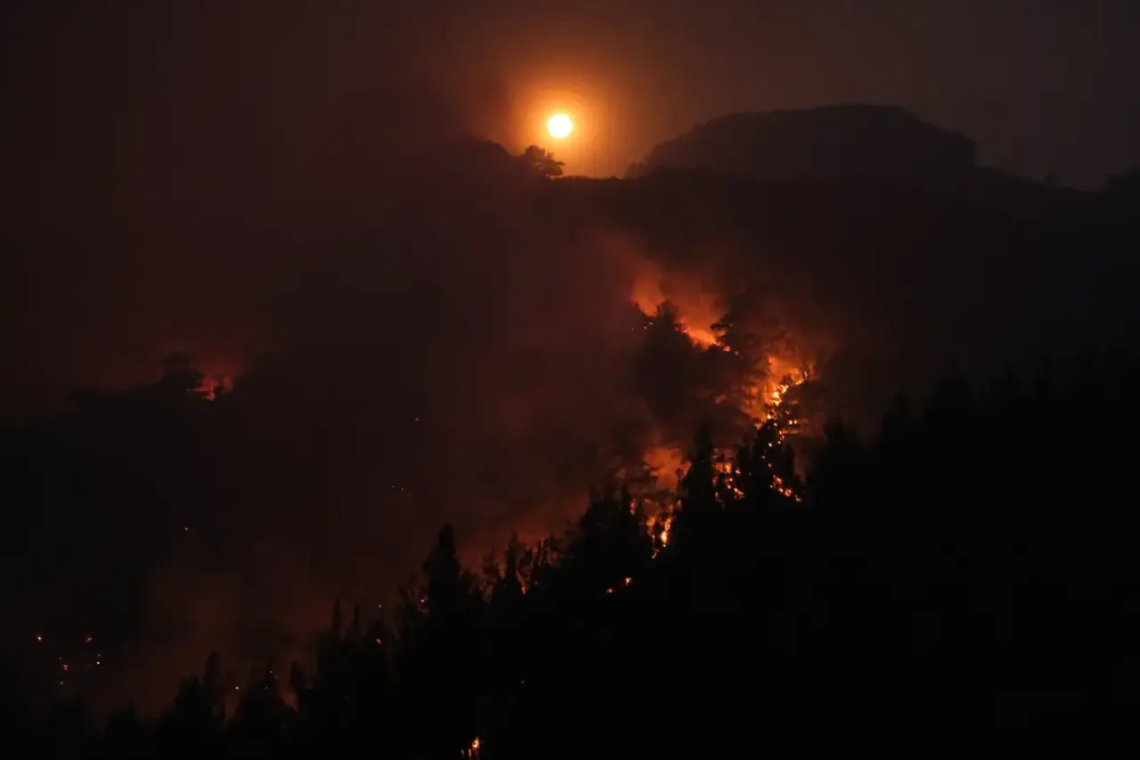 Alanya Orman Yangınında 2. Gün: 3 Mahalle Tahliye Edildi! 9