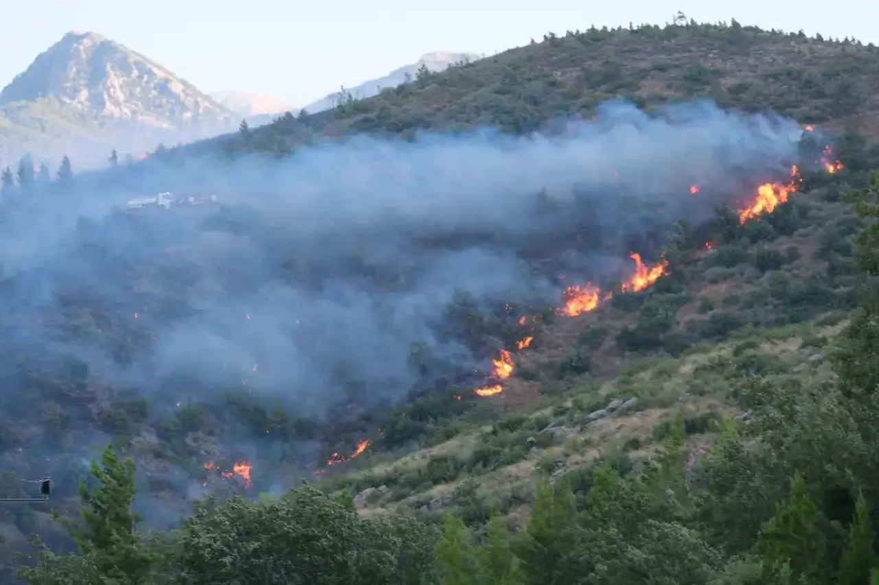 Alanya Orman Yangınında 2. Gün: 3 Mahalle Tahliye Edildi! 13