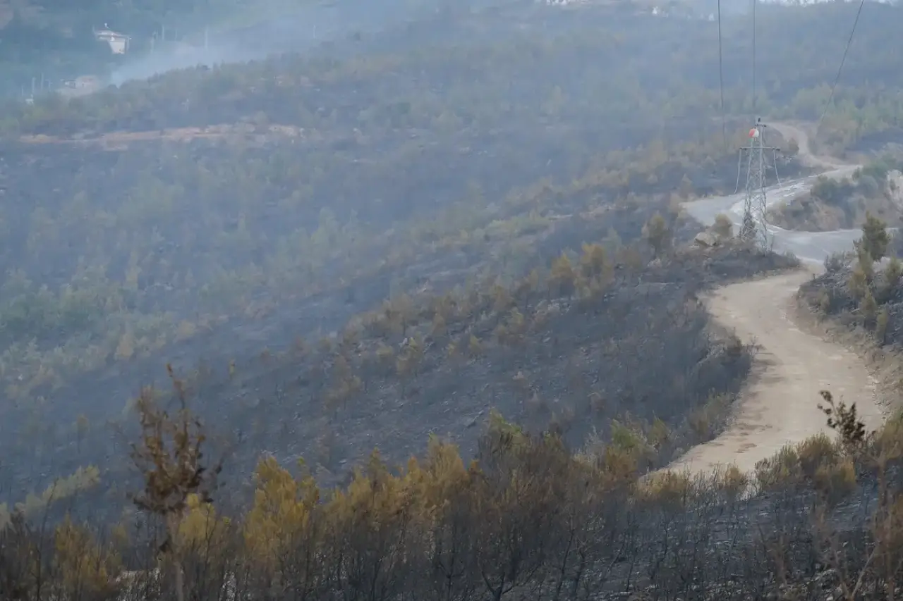 Alanya Orman Yangınında 2. Gün: 3 Mahalle Tahliye Edildi! 16