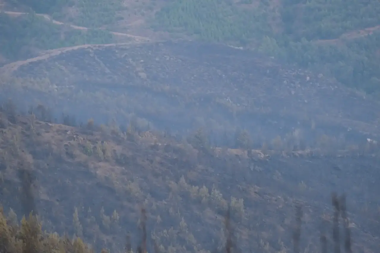 Alanya Orman Yangınında 2. Gün: 3 Mahalle Tahliye Edildi! 15