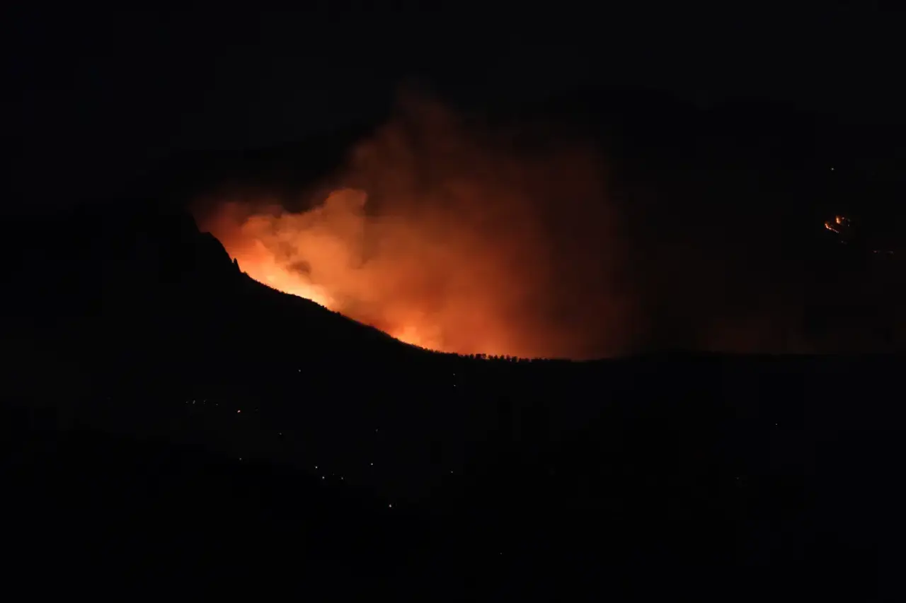 Alanya Orman Yangınında 2. Gün: 3 Mahalle Tahliye Edildi! 1