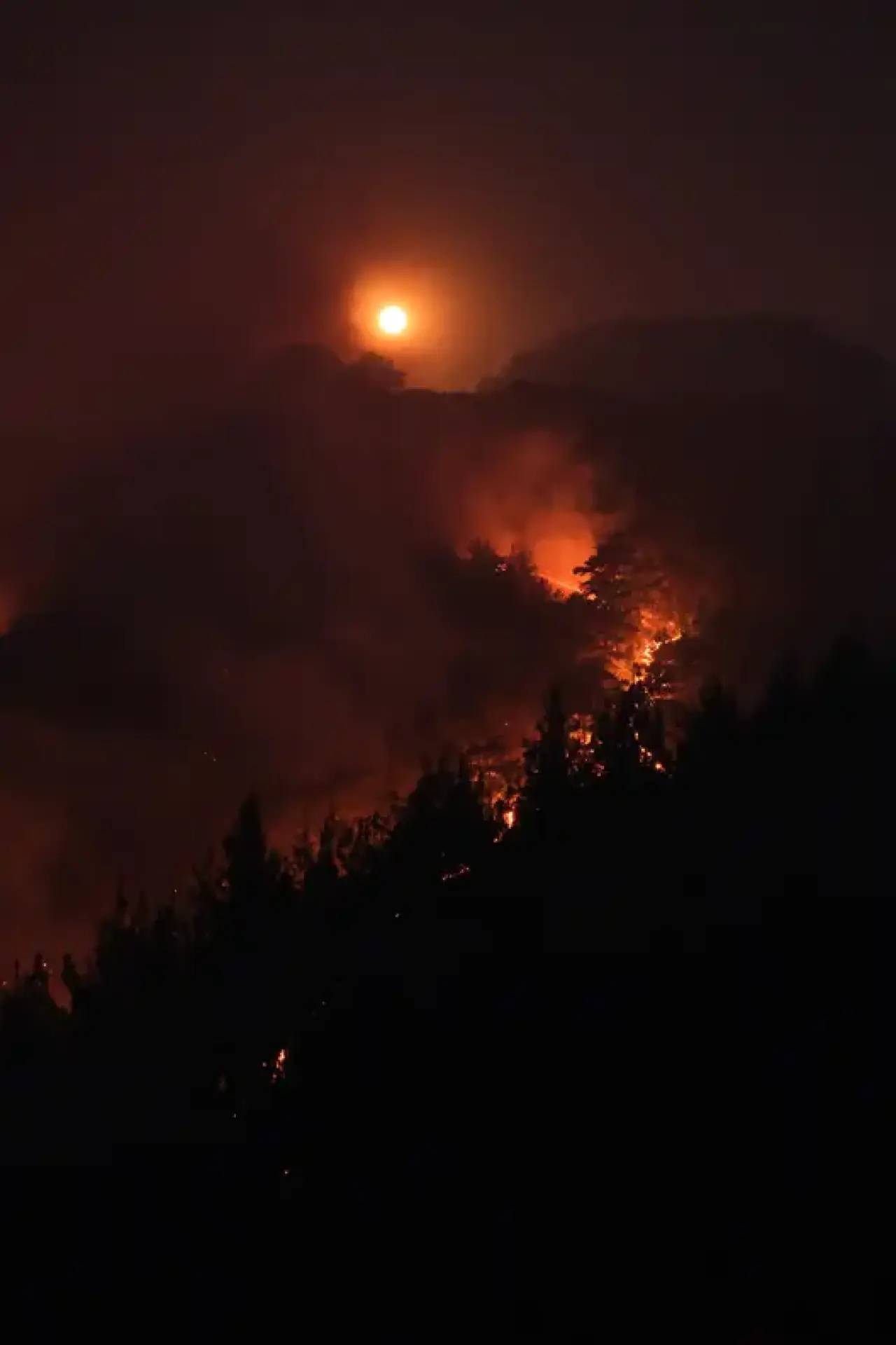 Alanya Orman Yangınında 2. Gün: 3 Mahalle Tahliye Edildi! 8