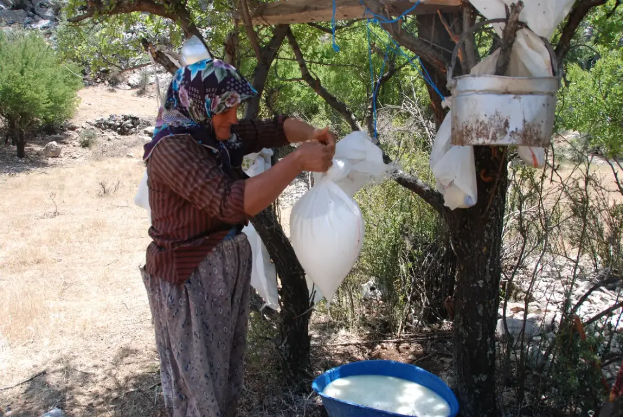 Akseki'de Yörükler Peynirleri 1900 Metre Rakımdaki Kar Obruklarında Yapılıyor 1