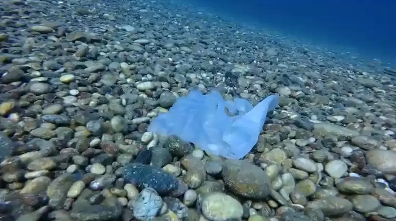 Antalya Kıyıları Tehlikede: Hıdırellez Dilekleri Balıkları Öldürüyor 3