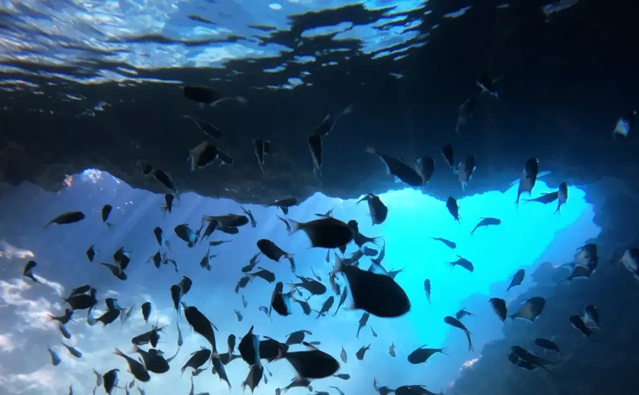 Antalya'nın Batıkları Dünya Dalış Turizminin Gözdesi 2