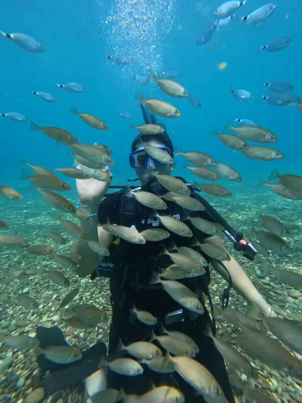 Antalya'nın Batıkları Dünya Dalış Turizminin Gözdesi 1