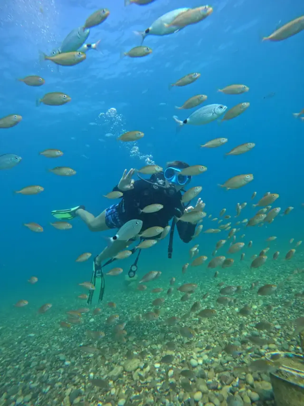 Antalya'nın Batıkları Dünya Dalış Turizminin Gözdesi 9