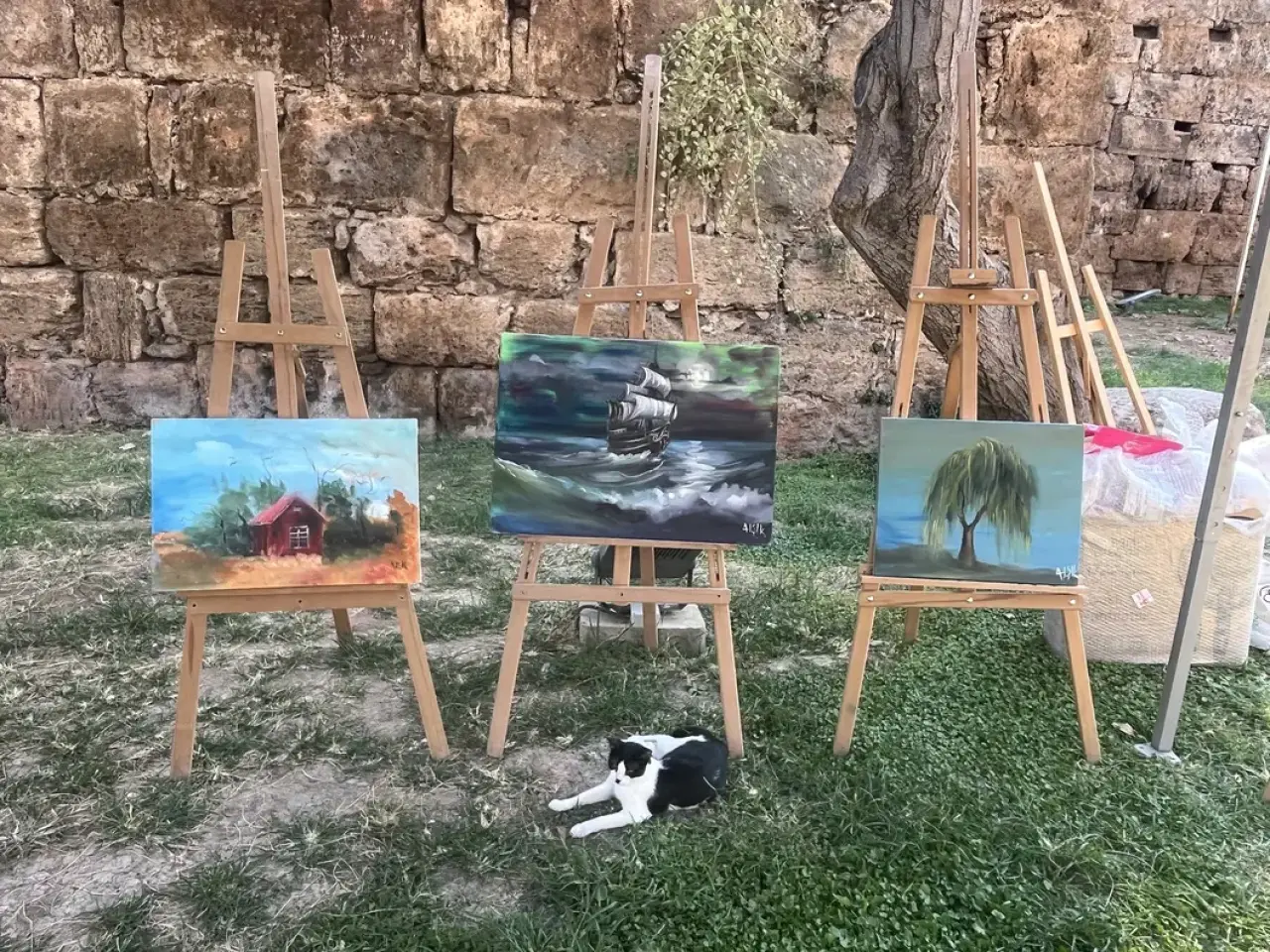 Ayaklarıyla Hayata Tutunan Ressam Ayşe Işık Hadrian Kapısı’nda 35. Sergisini Açtı 6