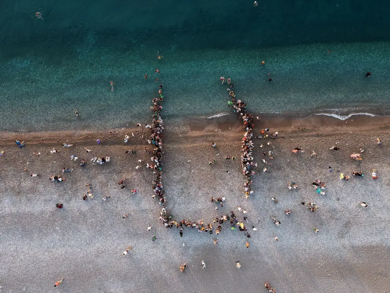 2 Bin 758 Yavru Deniz Kaplumbağası Akdeniz'e Kavuştu 1