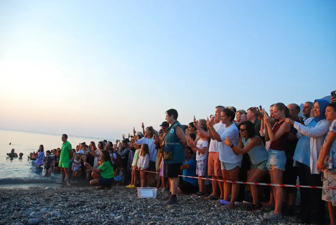 2 Bin 758 Yavru Deniz Kaplumbağası Akdeniz'e Kavuştu 3