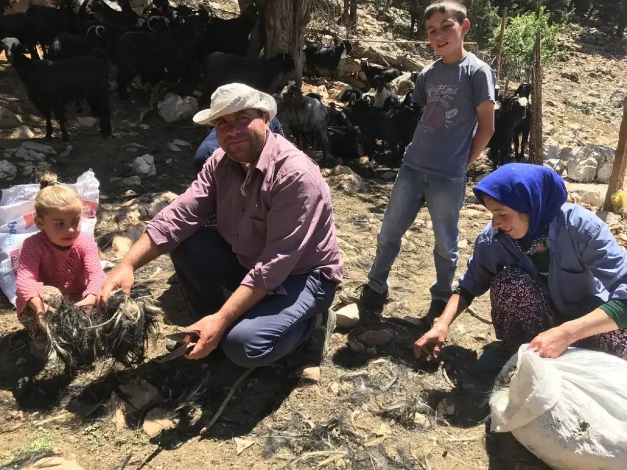 Akseki Yaylalarında Kırkım Mesaisi: Çadır ve Çul Dokunan Asırlık Miras Nasıl Değerini Yitirdi? 2