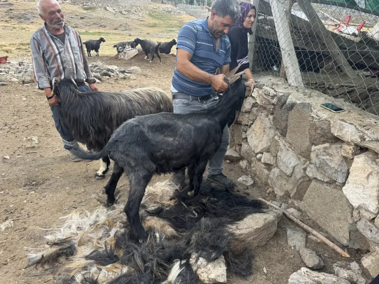 Akseki Yaylalarında Kırkım Mesaisi: Çadır ve Çul Dokunan Asırlık Miras Nasıl Değerini Yitirdi? 8