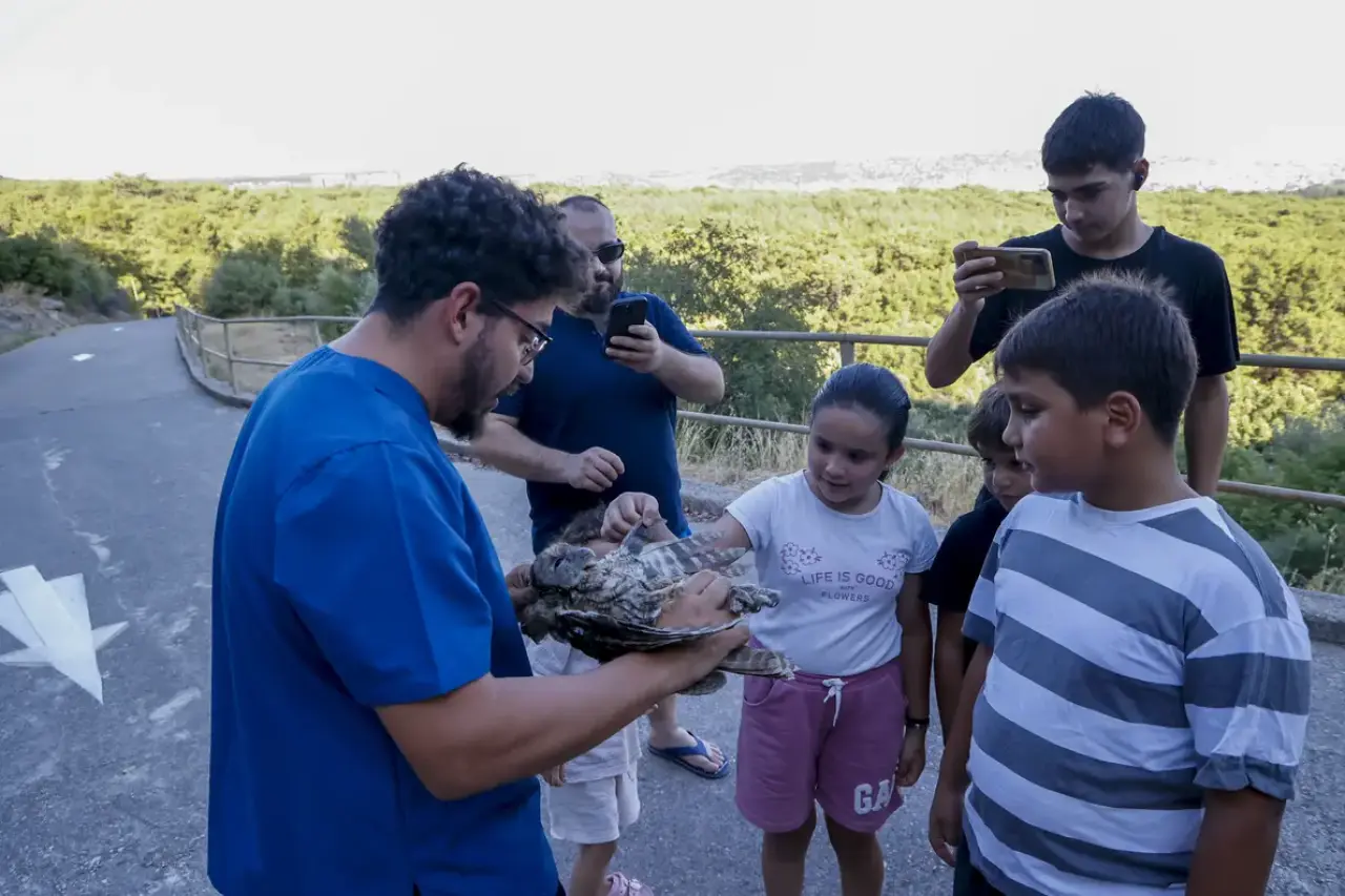 Antalya'da Ölüme Terk Edilmişlerdi! 3 Alaca Baykuş Yavrusu Gökyüzüyle Buluştu 2