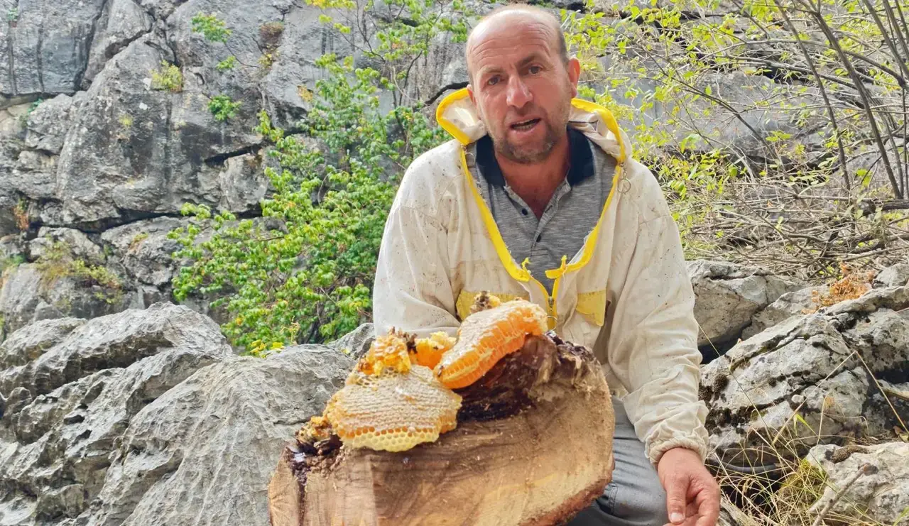 Bal Avcısı Akseki'de Kaçan Arıların İzini Sürüyor! Kilosunu 8 Binden Satıyor 5