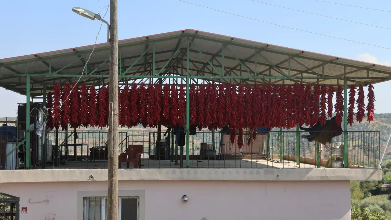 Hatay’da Kırmızı Telaş: Kurutmalık Biberler Balkonları Süsledi! 3