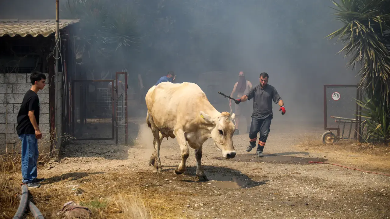 Muratpaşa'da 6 Farklı Noktada Yangın 15