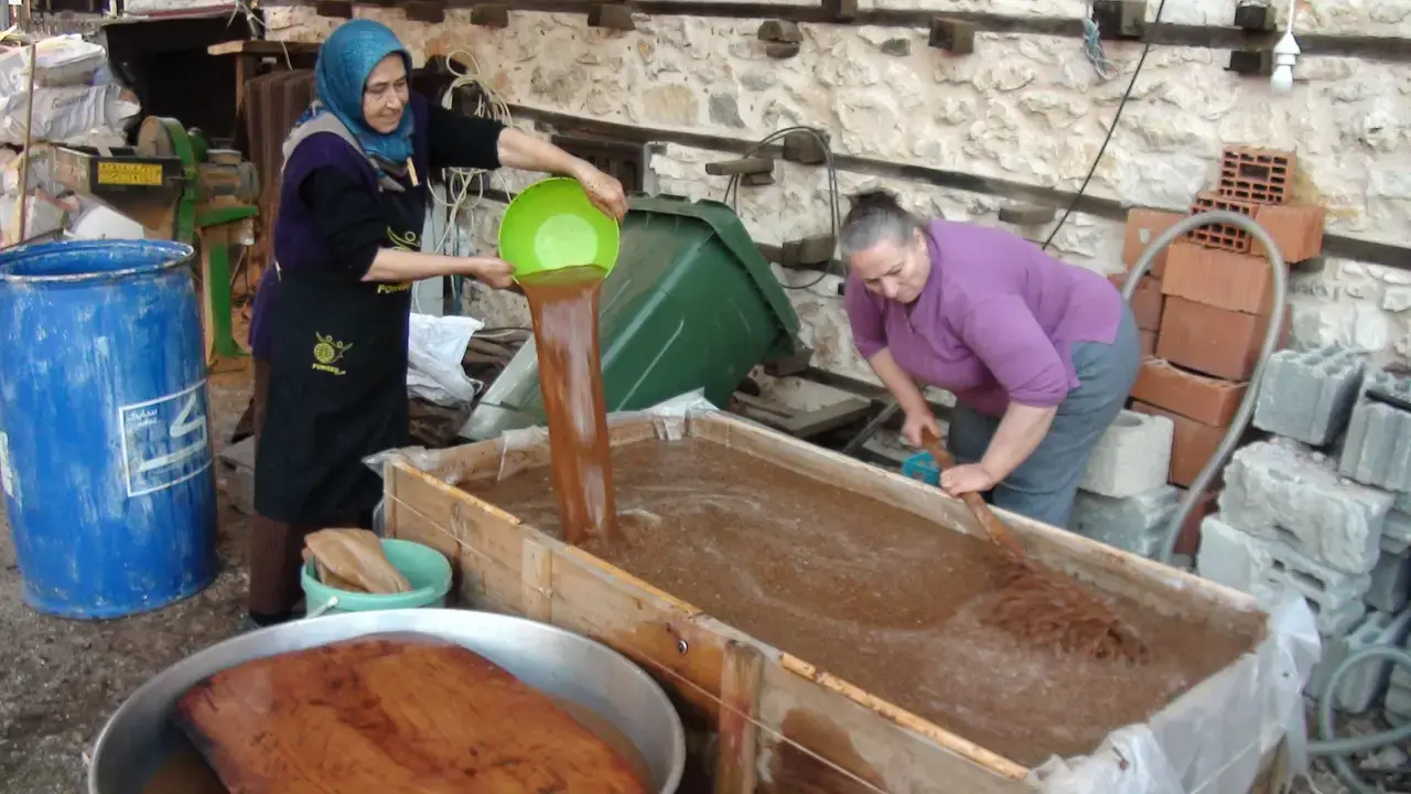 Akseki'de 5 Kilo Kozalaktan Sadece 1 Kilo Çıkarılıyor! Kilosu 500 Lira 8