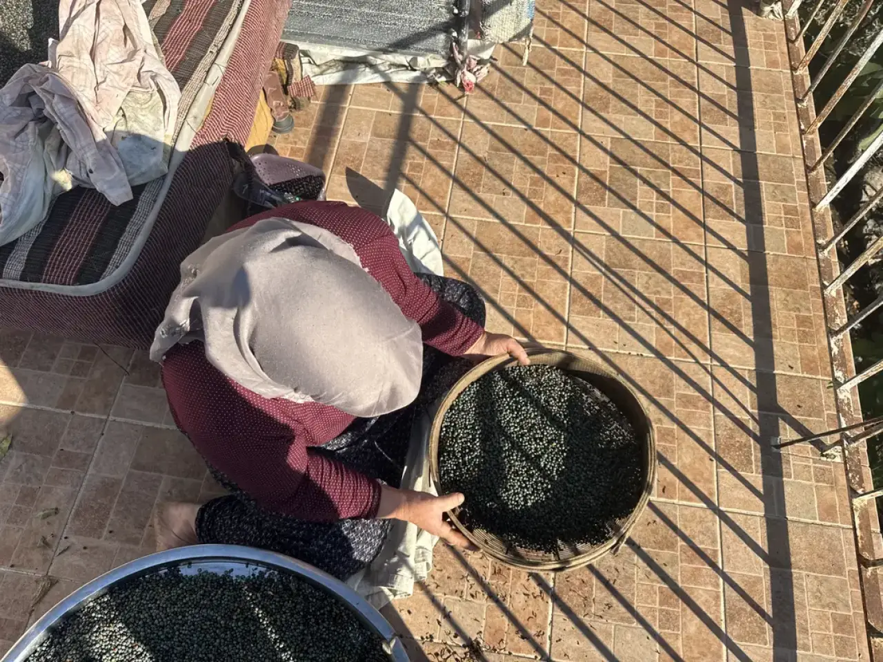 Akseki'de Sonbahar Bereketi: Menengiç 300, Çöğre Yağı 1200 Liradan Satılıyor 6