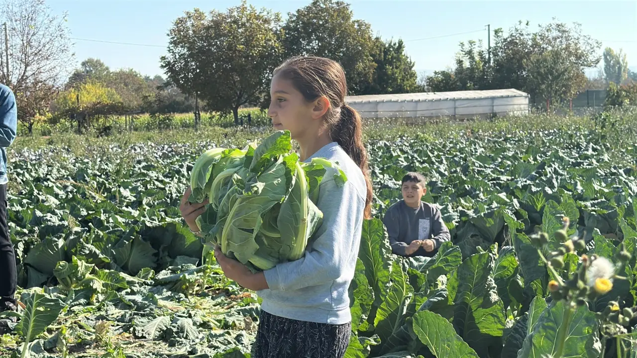 Burdur’da Küçük Medine’nin Hayali Tarladan Çok Uzakta 1