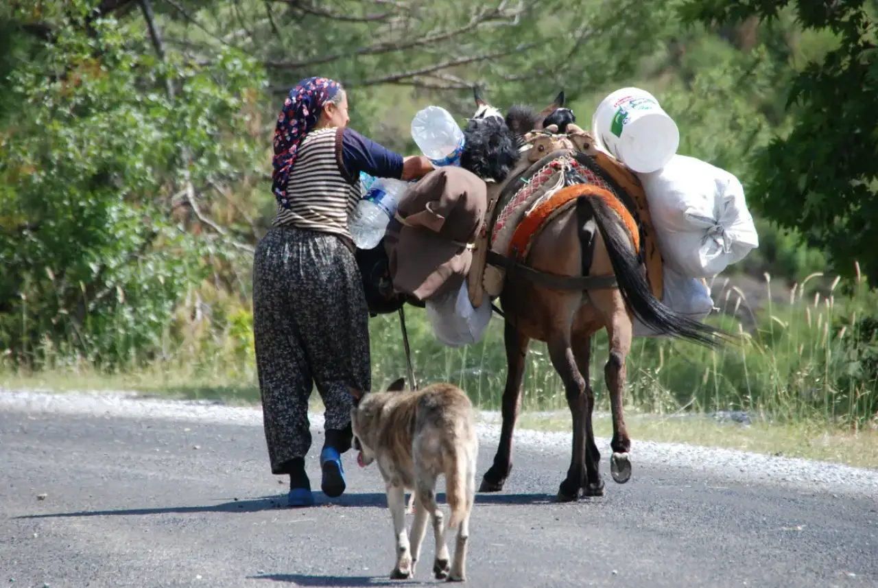 Toroslar'da Asırlık Göç Başladı: Yörüklerin 10 Günlük Zorlu Yolculuğu 1