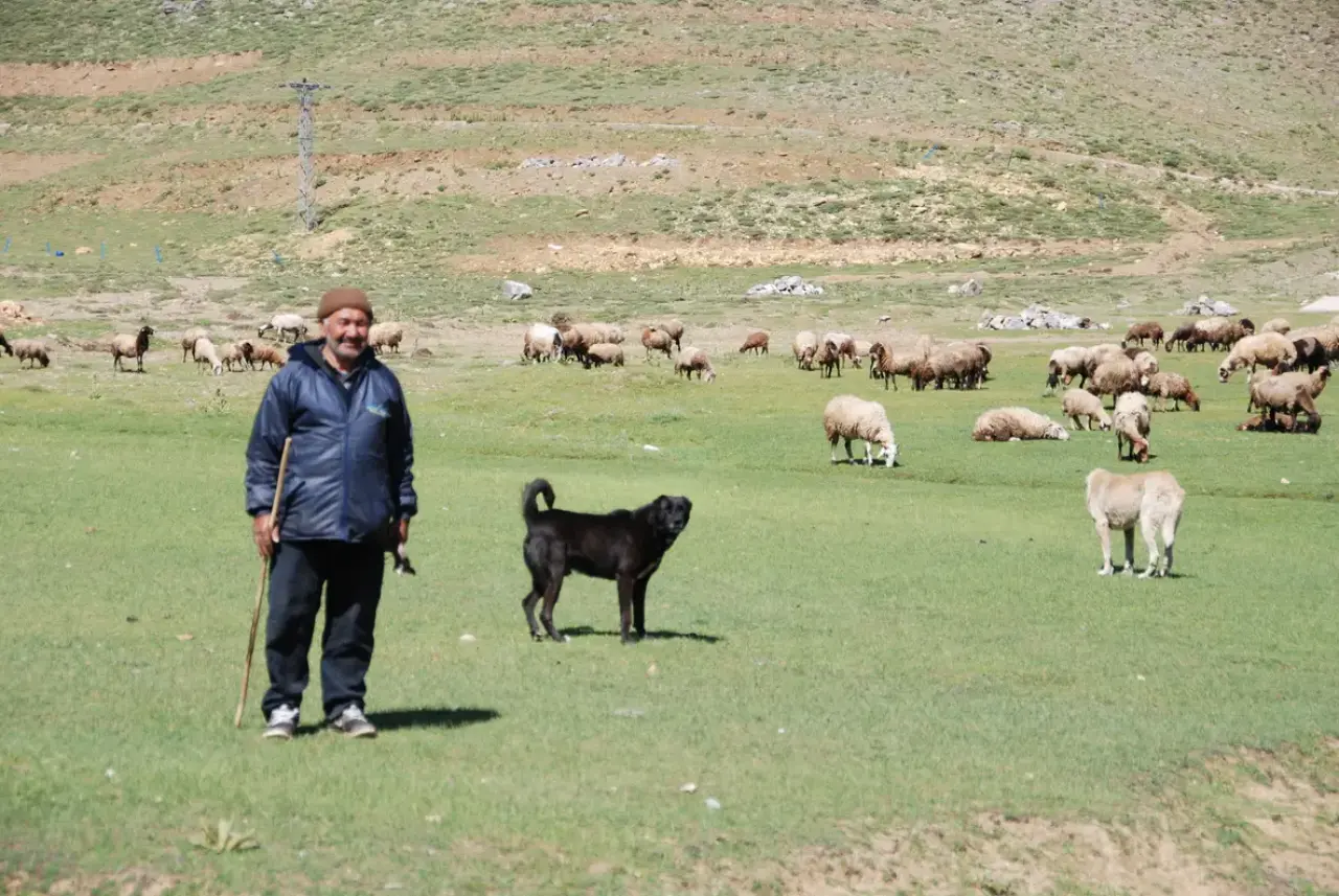 Toroslar'da Asırlık Göç Başladı: Yörüklerin 10 Günlük Zorlu Yolculuğu 8