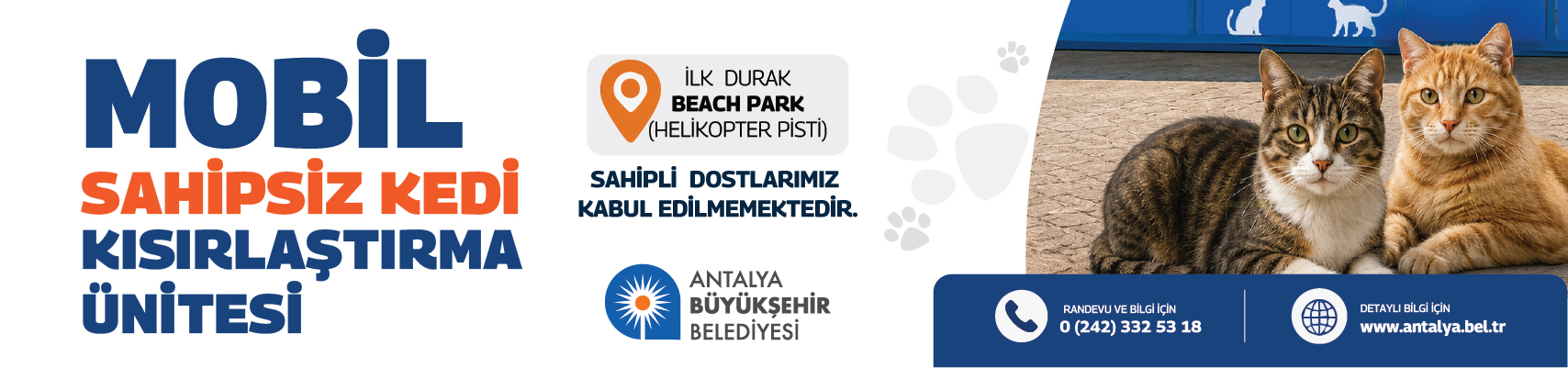 reklam